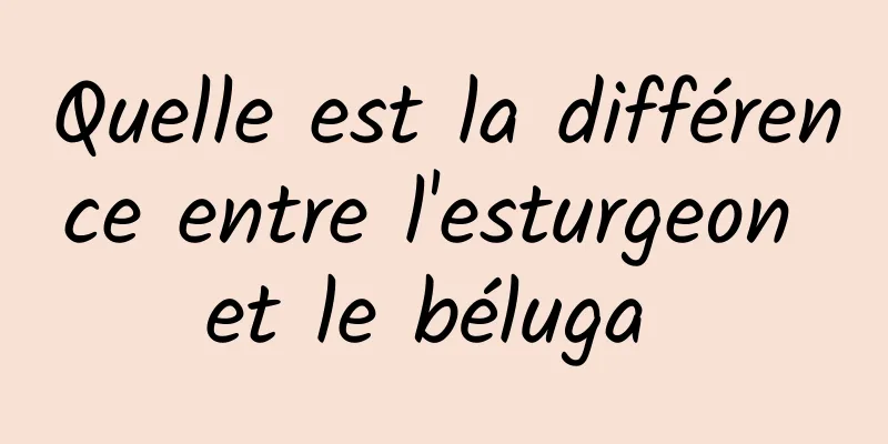 Quelle est la différence entre l'esturgeon et le béluga 