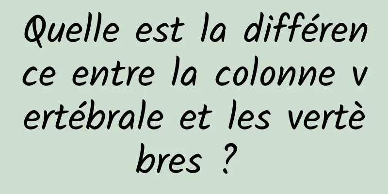Quelle est la différence entre la colonne vertébrale et les vertèbres ? 