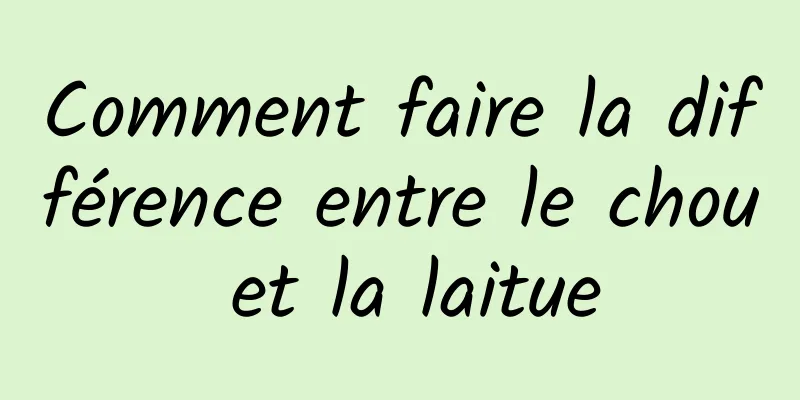 Comment faire la différence entre le chou et la laitue