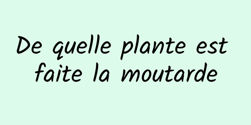 De quelle plante est faite la moutarde