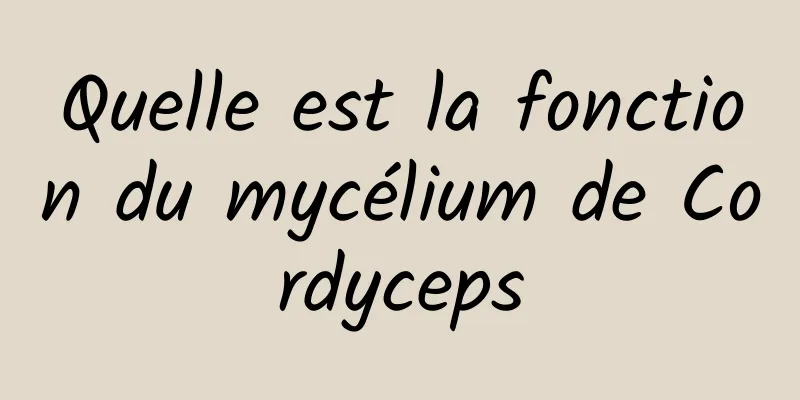 Quelle est la fonction du mycélium de Cordyceps