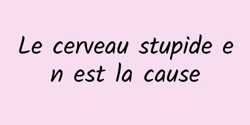 Le cerveau stupide en est la cause