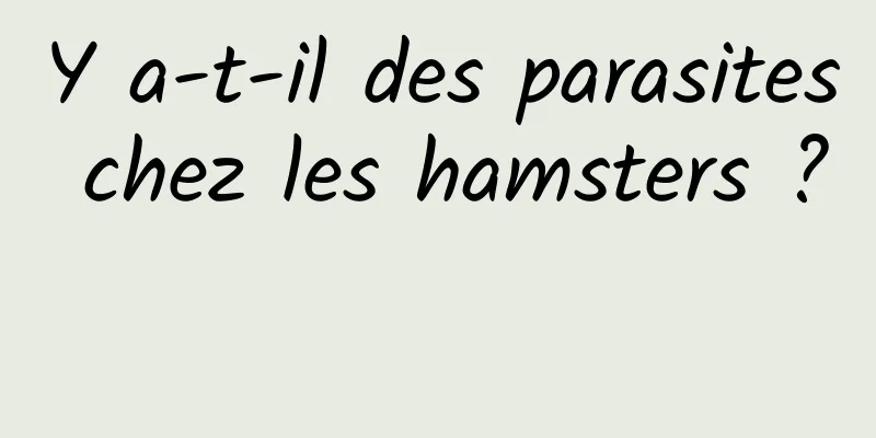 Y a-t-il des parasites chez les hamsters ? 