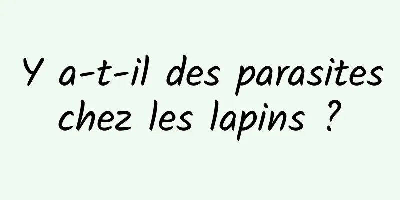 Y a-t-il des parasites chez les lapins ? 