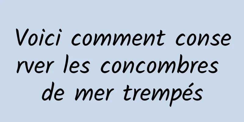 Voici comment conserver les concombres de mer trempés