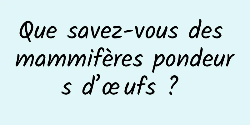 Que savez-vous des mammifères pondeurs d’œufs ? 
