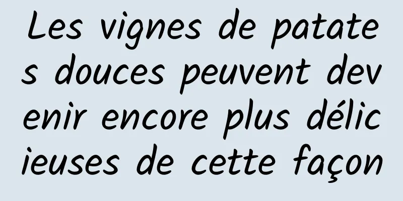 Les vignes de patates douces peuvent devenir encore plus délicieuses de cette façon