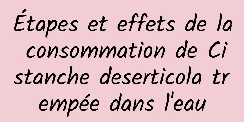 Étapes et effets de la consommation de Cistanche deserticola trempée dans l'eau