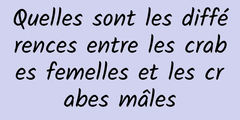 Quelles sont les différences entre les crabes femelles et les crabes mâles