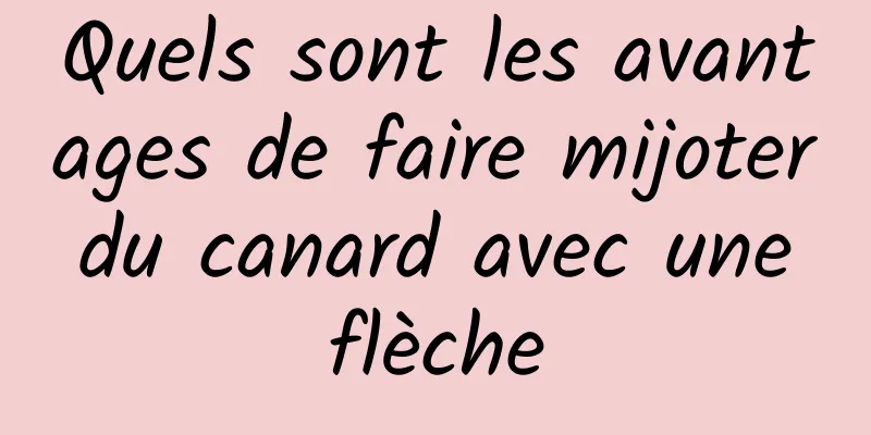 Quels sont les avantages de faire mijoter du canard avec une flèche
