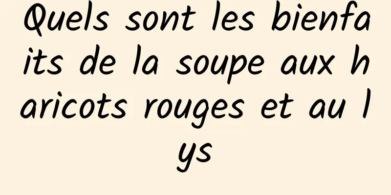 Quels sont les bienfaits de la soupe aux haricots rouges et au lys