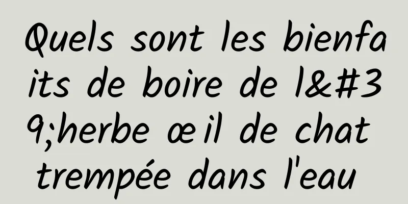 Quels sont les bienfaits de boire de l'herbe œil de chat trempée dans l'eau 