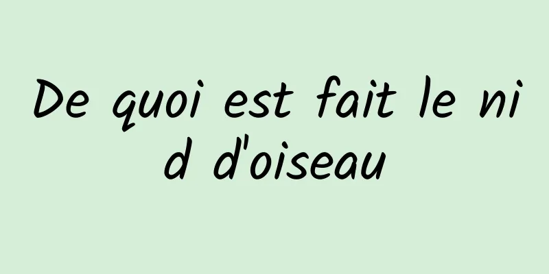 De quoi est fait le nid d'oiseau