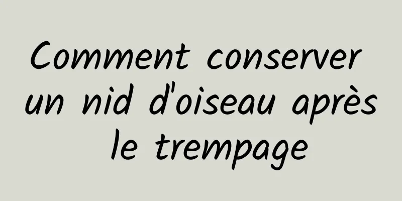 Comment conserver un nid d'oiseau après le trempage