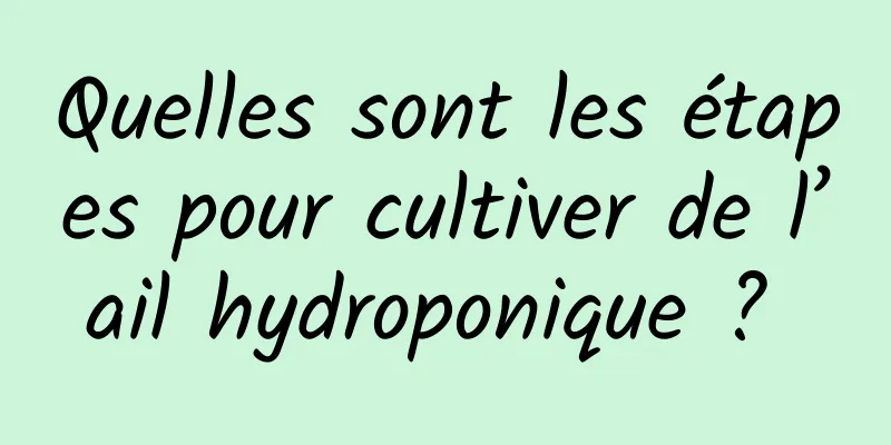 Quelles sont les étapes pour cultiver de l’ail hydroponique ? 