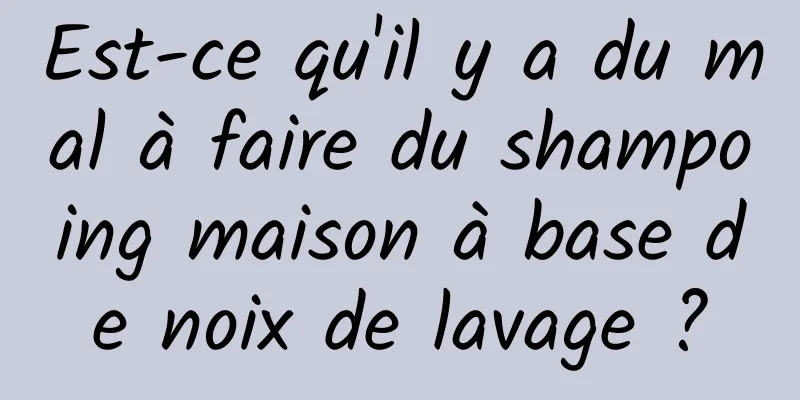 Est-ce qu'il y a du mal à faire du shampoing maison à base de noix de lavage ?