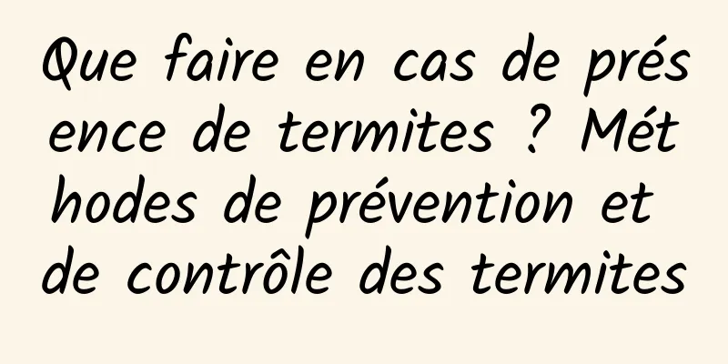 Que faire en cas de présence de termites ? Méthodes de prévention et de contrôle des termites