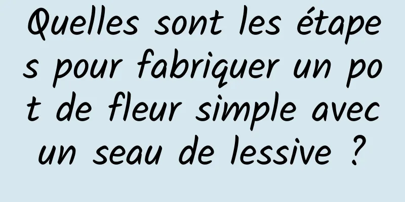 Quelles sont les étapes pour fabriquer un pot de fleur simple avec un seau de lessive ? 