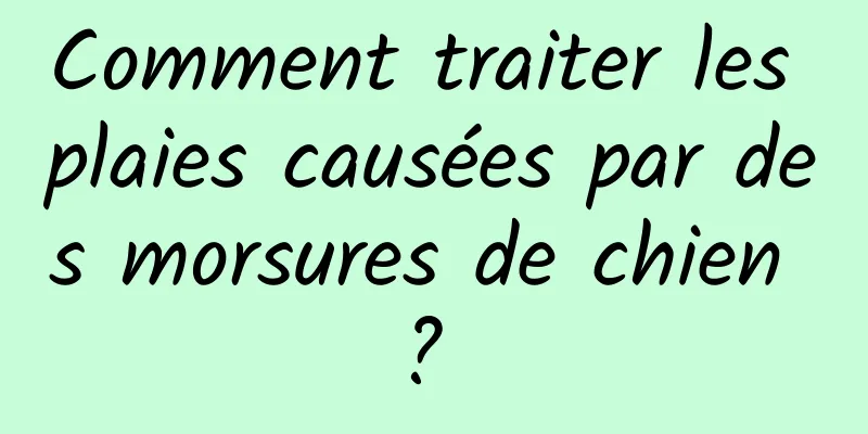 Comment traiter les plaies causées par des morsures de chien ? 