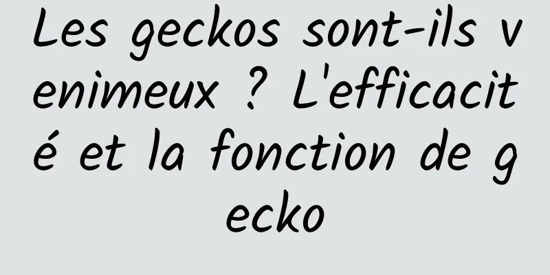 Les geckos sont-ils venimeux ? L'efficacité et la fonction de gecko