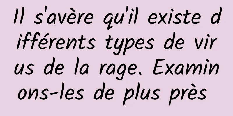Il s'avère qu'il existe différents types de virus de la rage. Examinons-les de plus près 