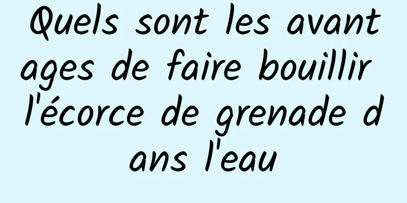 Quels sont les avantages de faire bouillir l'écorce de grenade dans l'eau