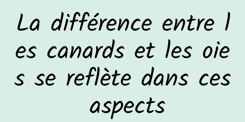 La différence entre les canards et les oies se reflète dans ces aspects