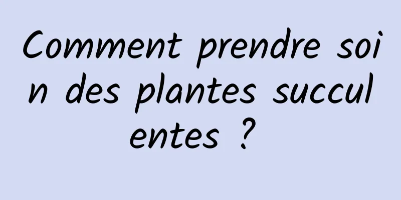 Comment prendre soin des plantes succulentes ? 