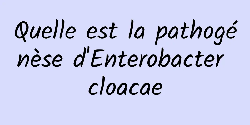 Quelle est la pathogénèse d'Enterobacter cloacae
