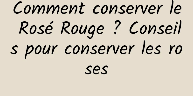 Comment conserver le Rosé Rouge ? Conseils pour conserver les roses