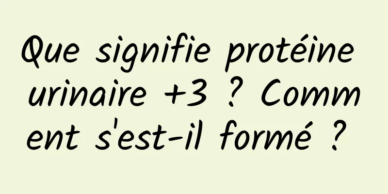 Que signifie protéine urinaire +3 ? Comment s'est-il formé ? 