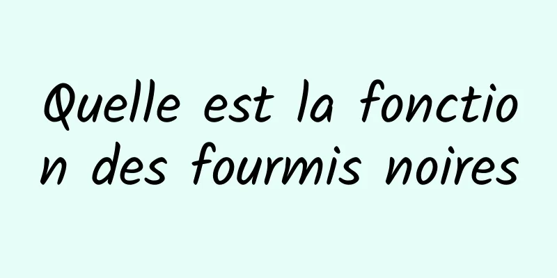 Quelle est la fonction des fourmis noires