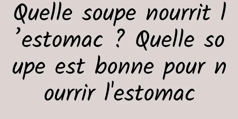 Quelle soupe nourrit l’estomac ? Quelle soupe est bonne pour nourrir l'estomac