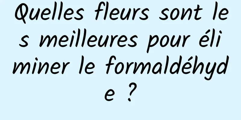 Quelles fleurs sont les meilleures pour éliminer le formaldéhyde ?