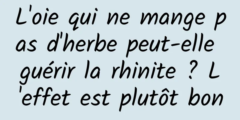 L'oie qui ne mange pas d'herbe peut-elle guérir la rhinite ? L'effet est plutôt bon