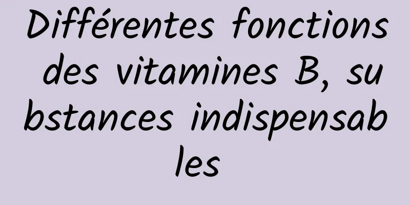 Différentes fonctions des vitamines B, substances indispensables 