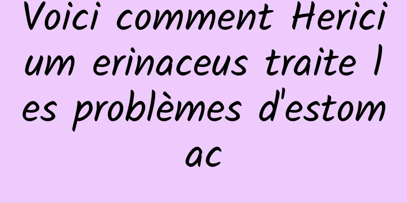 Voici comment Hericium erinaceus traite les problèmes d'estomac