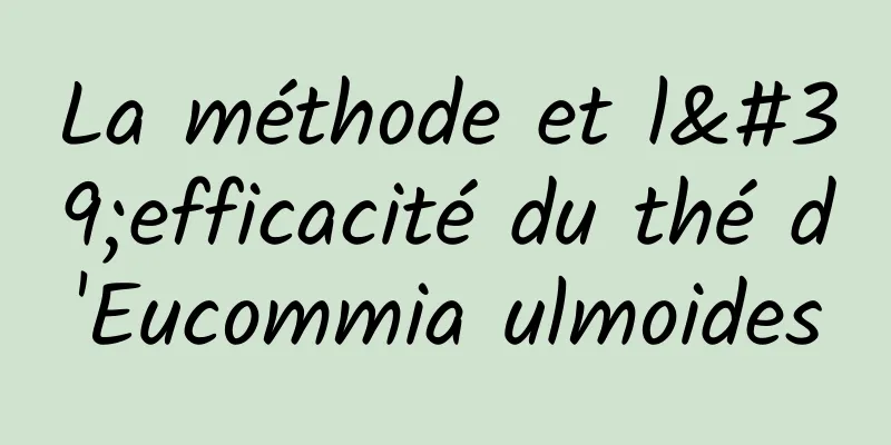 La méthode et l'efficacité du thé d'Eucommia ulmoides
