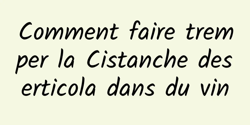 Comment faire tremper la Cistanche deserticola dans du vin