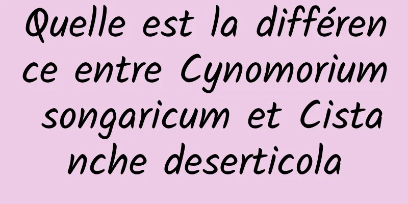 Quelle est la différence entre Cynomorium songaricum et Cistanche deserticola