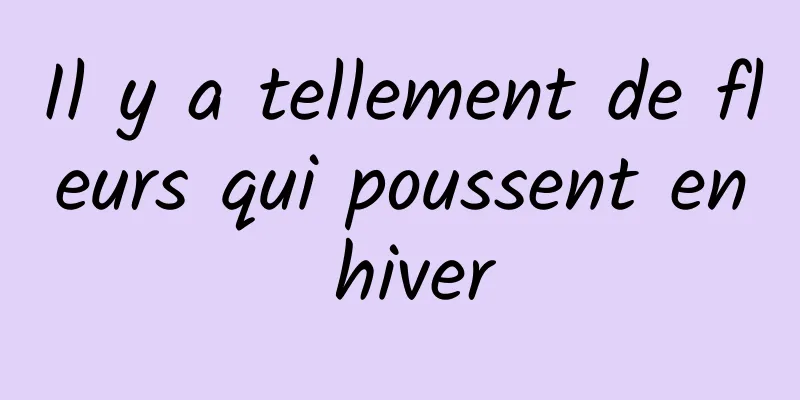 Il y a tellement de fleurs qui poussent en hiver