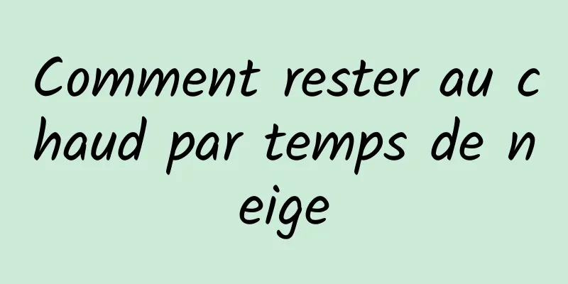 Comment rester au chaud par temps de neige