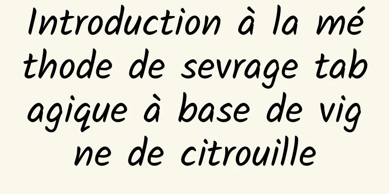 Introduction à la méthode de sevrage tabagique à base de vigne de citrouille