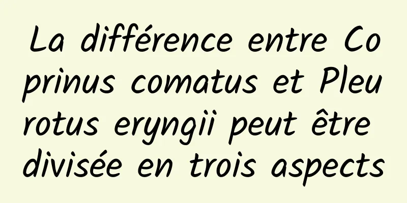 La différence entre Coprinus comatus et Pleurotus eryngii peut être divisée en trois aspects