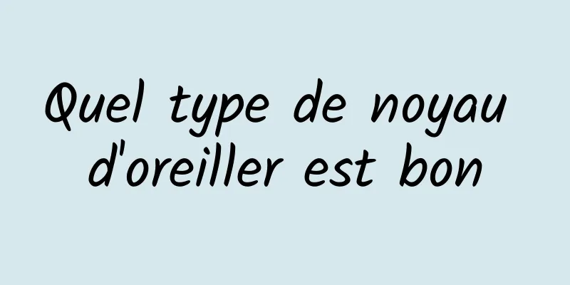 Quel type de noyau d'oreiller est bon