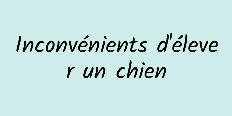 Inconvénients d'élever un chien