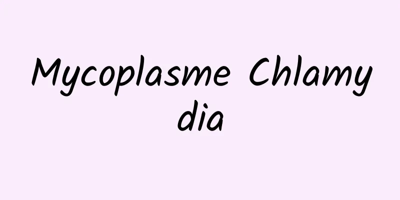 Mycoplasme Chlamydia