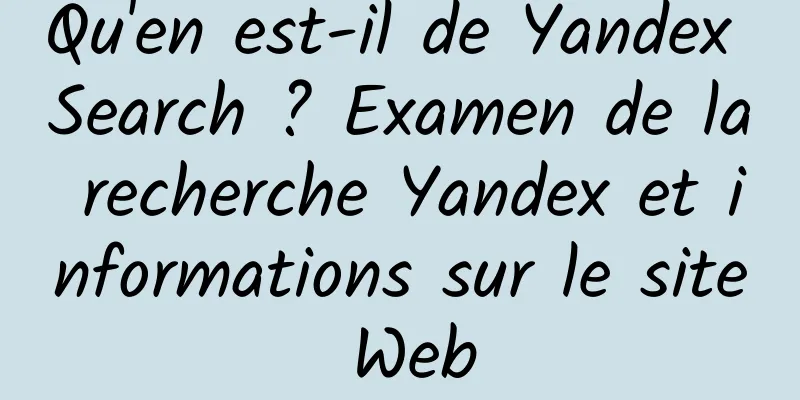 Qu'en est-il de Yandex Search ? Examen de la recherche Yandex et informations sur le site Web
