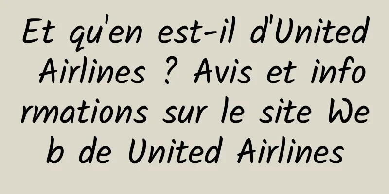 Et qu'en est-il d'United Airlines ? Avis et informations sur le site Web de United Airlines