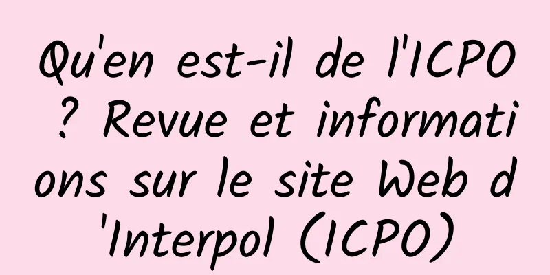 Qu'en est-il de l'ICPO ? Revue et informations sur le site Web d'Interpol (ICPO)